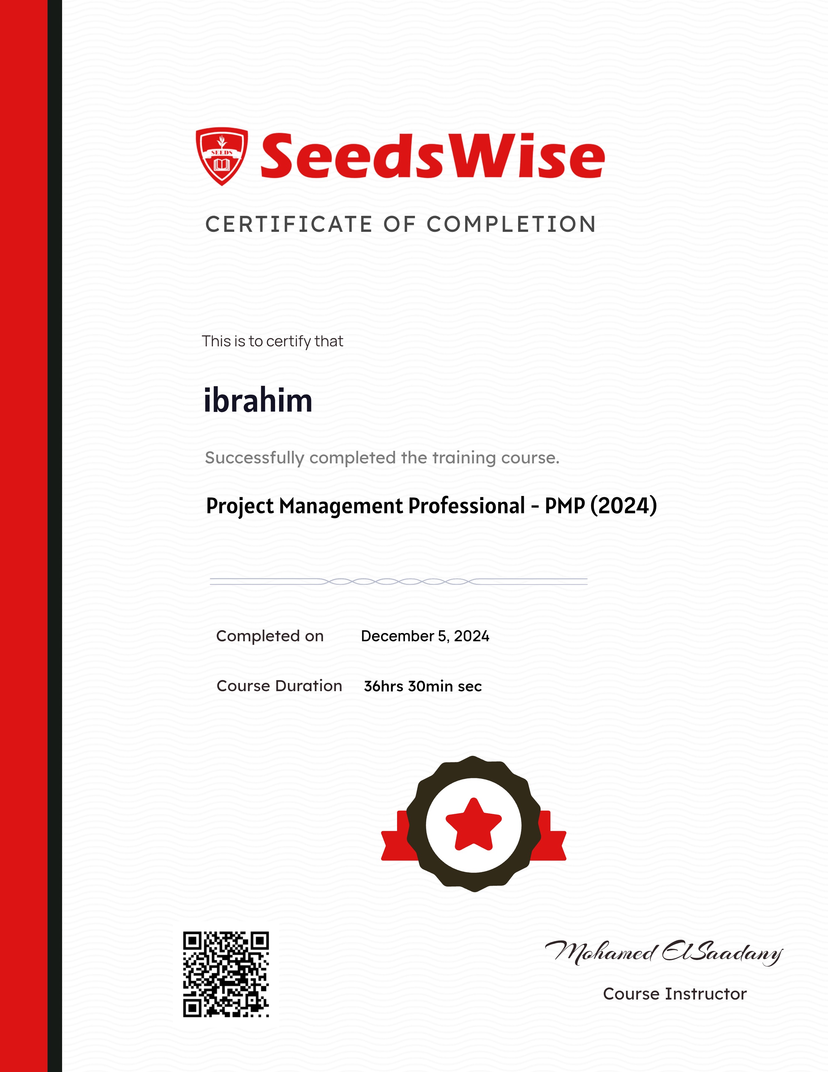 Project Management Professional - PMP (2025)